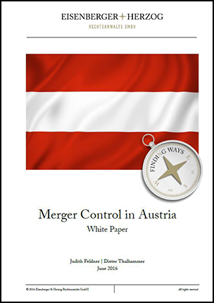 mergers research paper mergers research paper